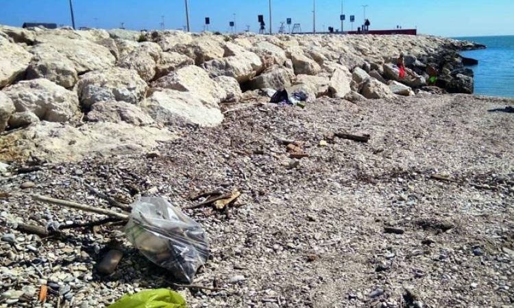 Civitanova, "Mare circolare": una due giorni dedicata alla pulizia della spiaggia Civitanova, "Mare circolare": una due giorni dedicata alla pulizia della spiaggia