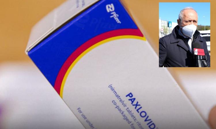 Nelle Marche arriva in farmacia il Paxlovid: basterà la ricetta medica per avere l'antivirale Covid di Pfizer Nelle Marche arriva in farmacia il Paxlovid: basterà la ricetta medica per avere l'antivirale Covid di Pfizer