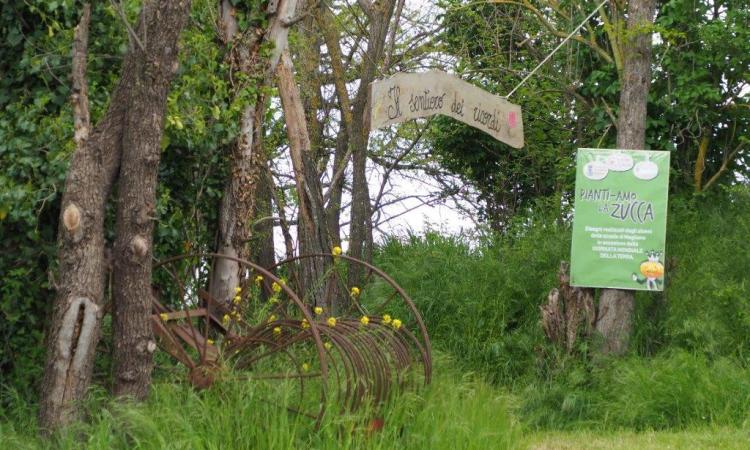 Mogliano, i bimbi della Giovanni XXIII festeggiano la Giornata della Terra con una semina speciale Mogliano, i bimbi della Giovanni XXIII festeggiano la Giornata della Terra con una semina speciale