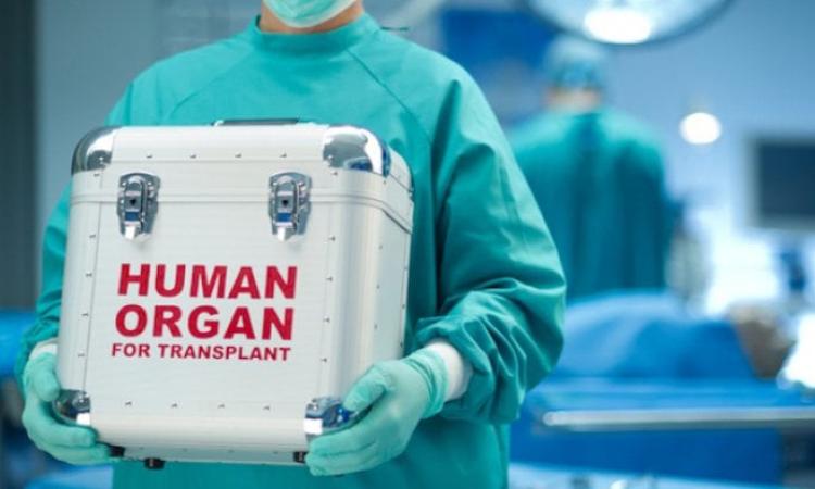 Donazione organi, Apiro e Matelica tra i centri più generosi delle Marche Donazione organi, Apiro e Matelica tra i centri più generosi delle Marche