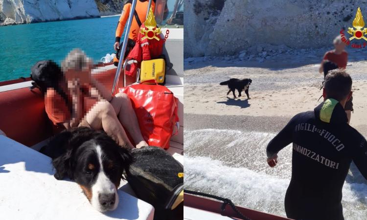 Percorre un sentiero chiuso e non riesce più a risalire: un uomo e il suo cane soccorsi alle 'Due Sorelle' Percorre un sentiero chiuso e non riesce più a risalire: un uomo e il suo cane soccorsi alle 'Due Sorelle'