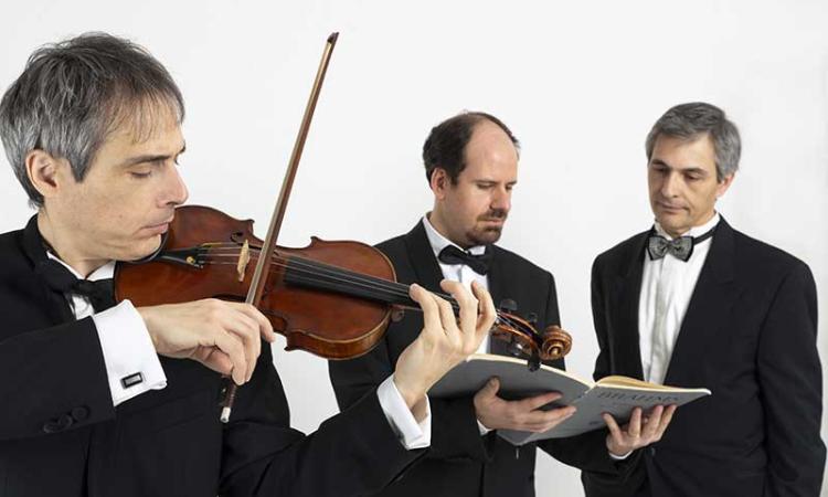 Tolentino, le armonie di flauto, violino e pianoforte: al Politeama il Trio Albatros Ensemble Tolentino, le armonie di flauto, violino e pianoforte: al Politeama il Trio Albatros Ensemble