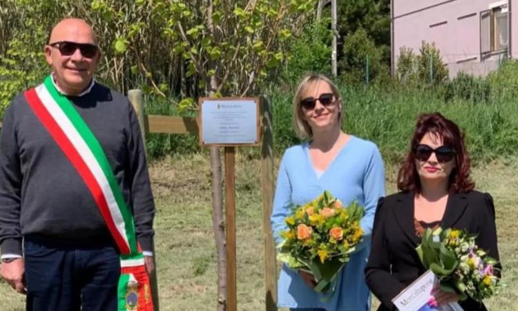 Montelupone, dedicato a Gino Bartali il primo albero de "il Giardino di Giusti"