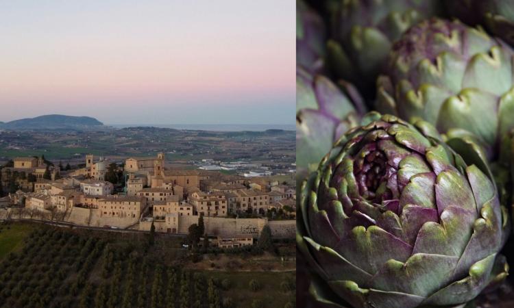Montelupone, oltre 4mila carciofi fritti in due giorni: numeri da record per la sagra