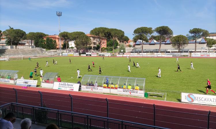 Serie D, il Tolentino crolla in casa contro il Pineto per 3-1: non paga il turnover di Mosconi Serie D, il Tolentino crolla in casa contro il Pineto per 3-1: non paga il turnover di Mosconi