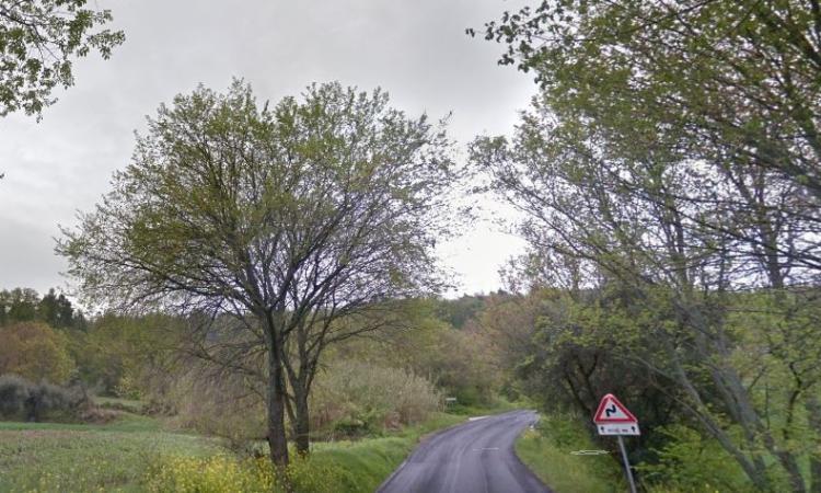 Macerata, la strada comunale Madonna del Monte - Sambucheto chiusa per lavori Macerata, la strada comunale Madonna del Monte - Sambucheto chiusa per lavori