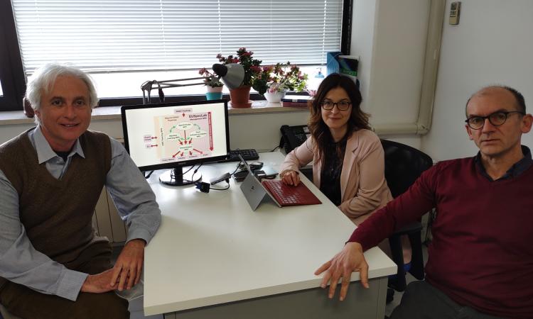 Studio dei materiali, finanziato un progetto Horizon Europe: tra i partner anche Unicam Studio dei materiali, finanziato un progetto Horizon Europe: tra i partner anche Unicam