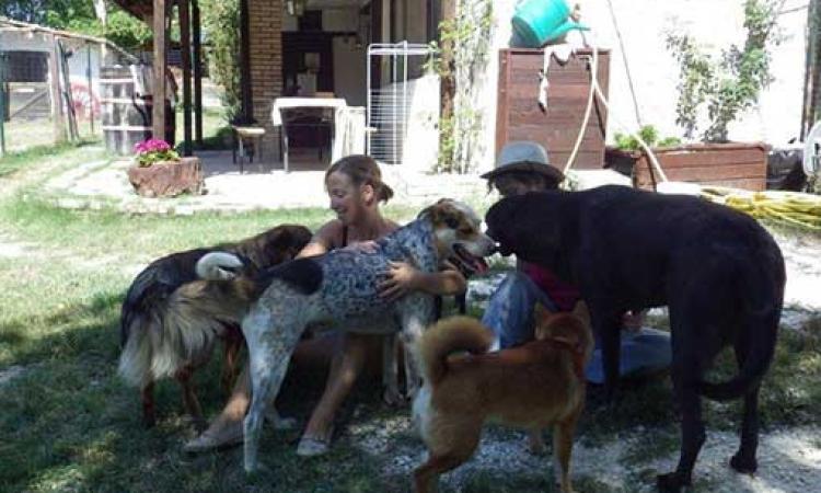 Recanati, domenica in piazza per gli amanti dei cani con “Quattro zampe alla riscossa”