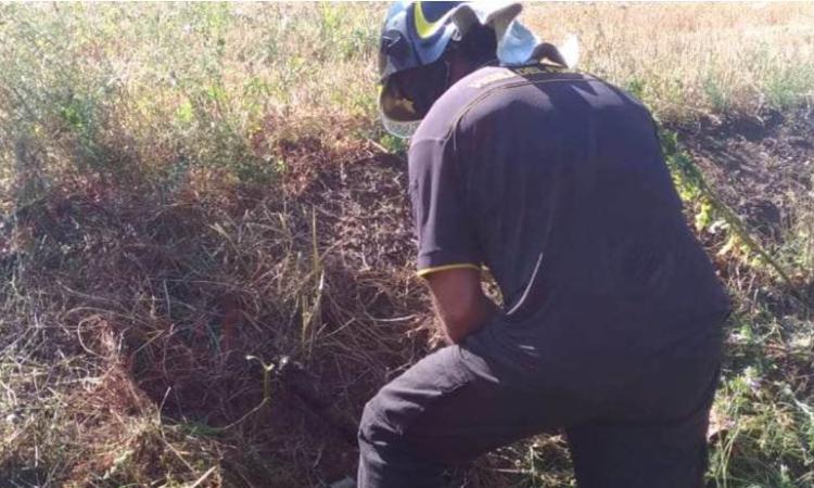 Gagliole, si ribalta con il trattore: agricoltore trasportato all'ospedale Gagliole, si ribalta con il trattore: agricoltore trasportato all'ospedale