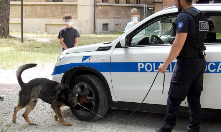 Tolentino, Polizia Locale in cattedra al "Don Bosco": il cane Billy protagonista Tolentino, Polizia Locale in cattedra al "Don Bosco": il cane Billy protagonista
