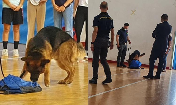 Civitanova, progetto di legalità al "Tacito": in cattedra il cane Edir e la Guardia di Finanza