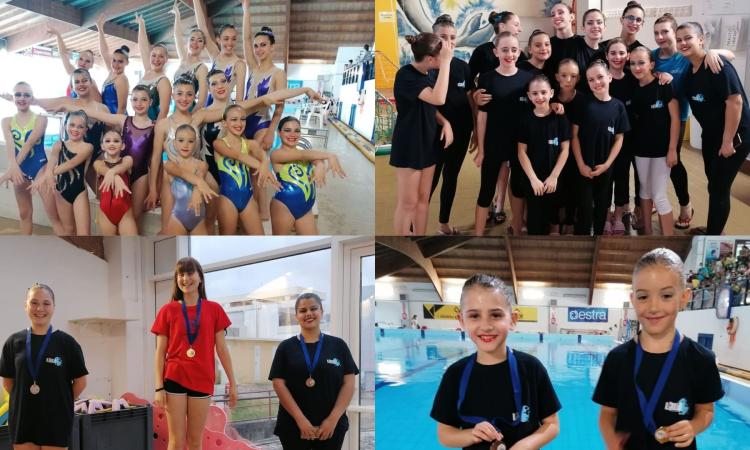 Il Grillo Civitanova, le piccole del nuoto sincronizzato brillano a Fermo con 7 medaglie