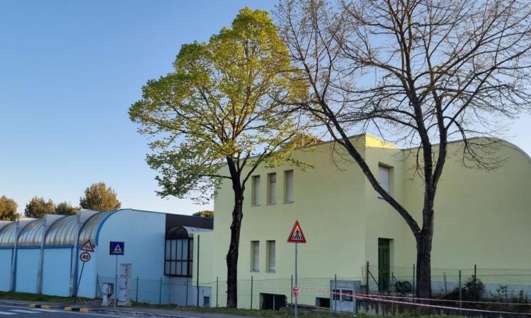 Macerata, confermata la classe prima alla 'Natali' di Sforzacosta: "Evitata la chiusura della scuola" Macerata, confermata la classe prima alla 'Natali' di Sforzacosta: "Evitata la chiusura della scuola"