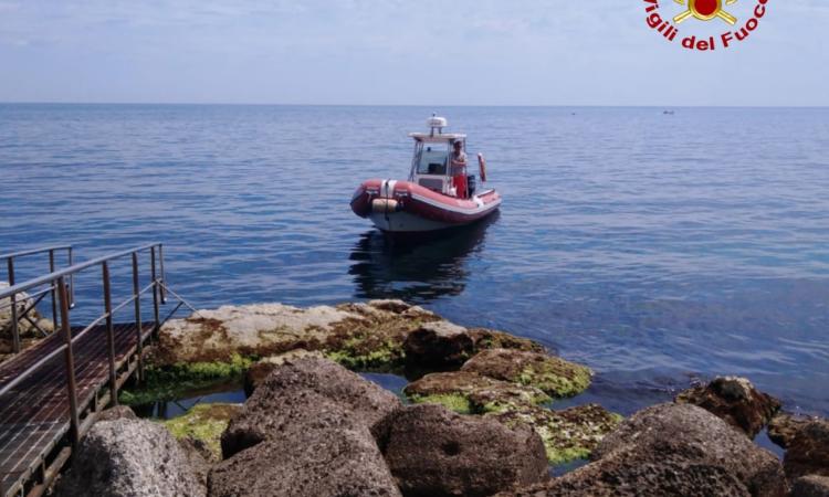 Delfino finisce sugli scogli: carcassa recuperata dai Vigili del Fuoco Delfino finisce sugli scogli: carcassa recuperata dai Vigili del Fuoco