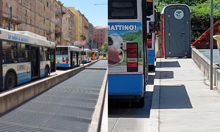 Macerata, bagno chimico sotto il sole cocente. Il sindacato Faisa Cisal: "Autisti Apm inascoltati"