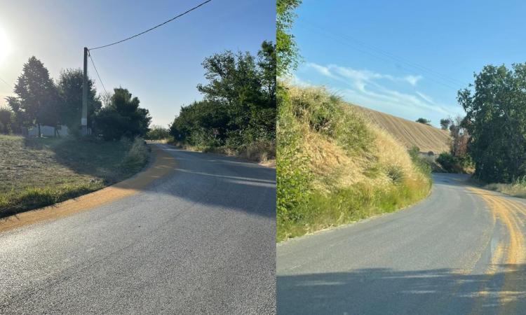 Camion perde il carico di grano lungo la provinciale: scia lunga chilometri sulla carreggiata