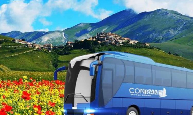 Fioritura Castelluccio 2022, primo weekend ok per le Marche: oltre 1500 presenze sulle navette
