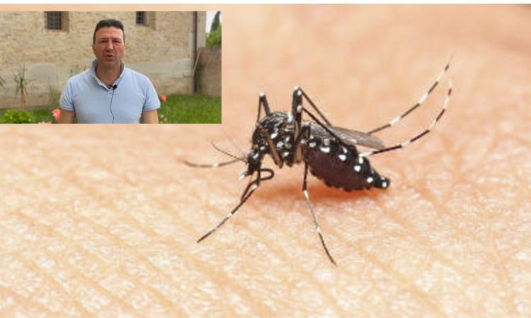 Tolentino, Sclavi frena sulla disinfestazione anti zanzare: "Danni all'ambiente, serve altra soluzione" Tolentino, Sclavi frena sulla disinfestazione anti zanzare: "Danni all'ambiente, serve altra soluzione"