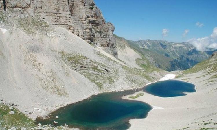 Siccità, le Marche dichiarano ufficialmente lo stato d'emergenza: "Subito ristori per i danni subiti" Siccità, le Marche dichiarano ufficialmente lo stato d'emergenza: "Subito ristori per i danni subiti"