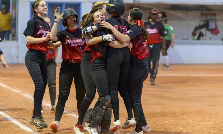 Macerata softball, tutto pronto per la sfida con le White Tigers per confermare il primo posto Macerata softball, tutto pronto per la sfida con le White Tigers per confermare il primo posto