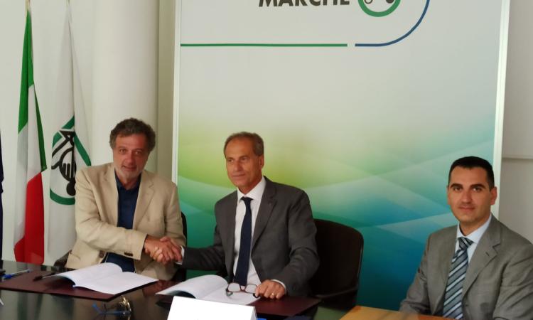 Sisma Marche, firmato accordo di microzonizzazione fra CNR e Regione. “Necessario per prevenzione terremoti”