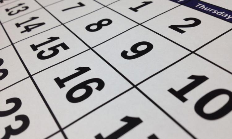 Calendari olandesi personalizzati anno 2022/2023: i migliori prezzi da ingrosso solo su Wikabags