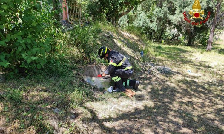 Cingoli, bambina precipita in un pozzo profondo 7 metri: salvata dai vigili del fuoco