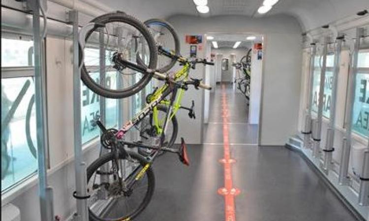 Marche, sui treni nuove carrozze dedicate alle bici: confermato sconto bus per gli studenti Marche, sui treni nuove carrozze dedicate alle bici: confermato sconto bus per gli studenti