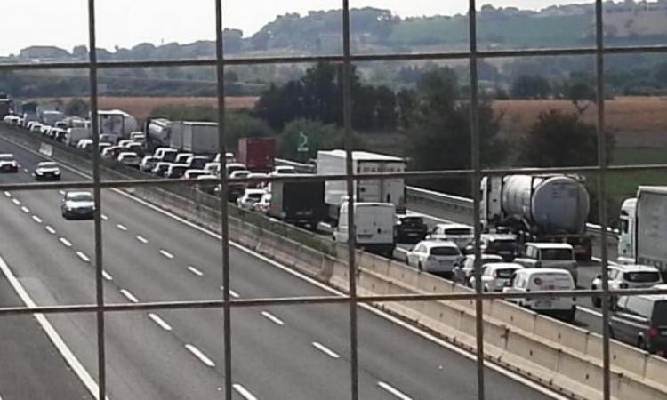 Marche, esodo estivo: traffico intenso lungo l'A14 in ambo le direzioni Marche, esodo estivo: traffico intenso lungo l'A14 in ambo le direzioni