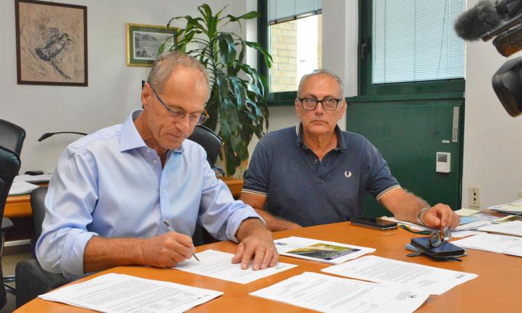 Crisi idrica, le Marche chiedono lo stato di emergenza: nelle zone montane animali senz'acqua