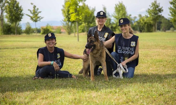 Marche, aperte le iscrizioni al corso gratuito per guardie zoofile Oipa