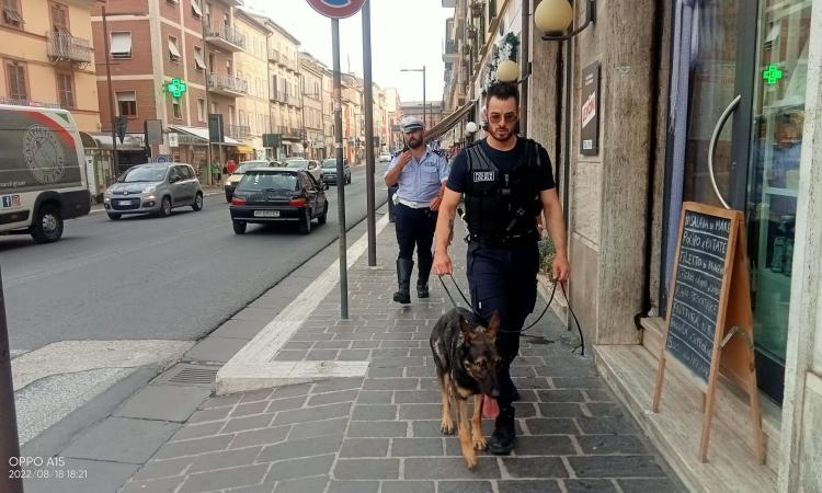 Controlli antidroga a Macerata, passate al setaccio varie zone della città: 15 persone identificate