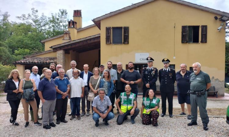 Marche, recuperati oltre 11mila animali selvatici negli ultimi 3 anni: i numeri del Cras