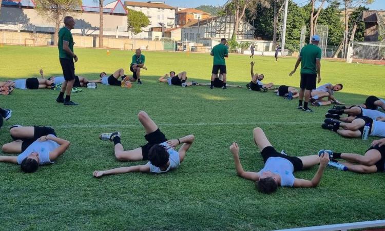 Serie D, ufficiali i gironi: il Tolentino confermato nel gruppo F, debutto in casa contro la Vastese