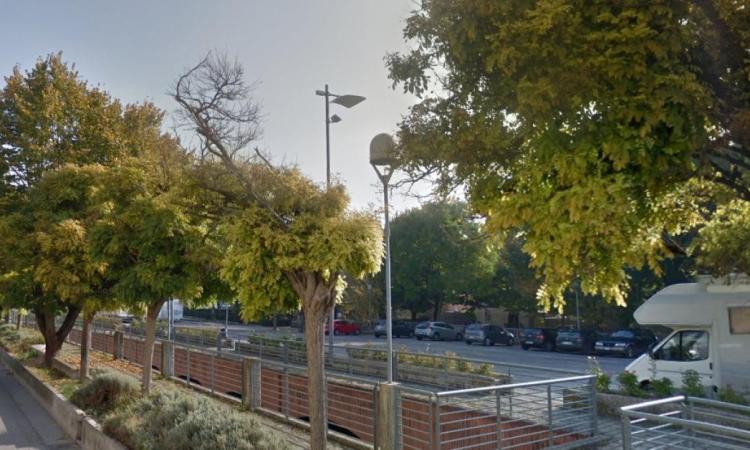 Tolentino, lavori in piazzale Gabrielli: il mercato del martedì si sposta al Foro Boario