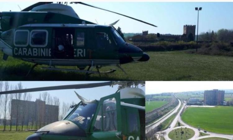 Maxi-operazione dei carabinieri, scoperti due furti: controlli anche dall'alto con l'elicottero Maxi-operazione dei carabinieri, scoperti due furti: controlli anche dall'alto con l'elicottero