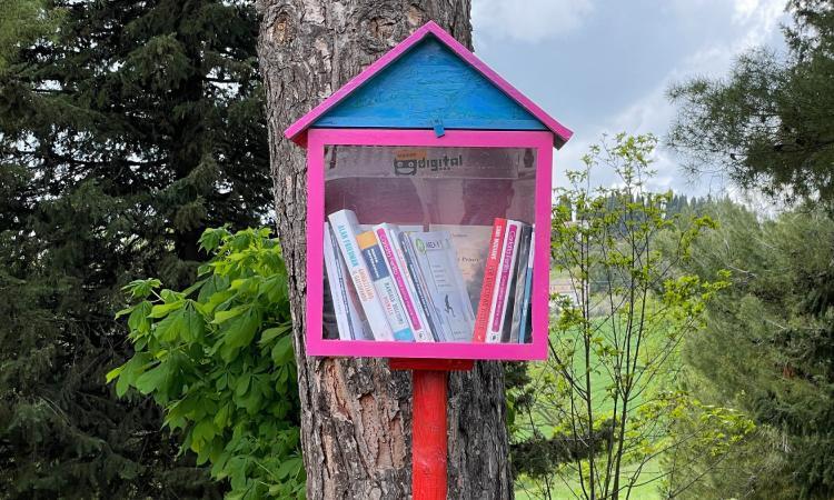 Civitanova, condividere libri per ridurre le dipendenze digitali: la Giunta aderisce al progetto bookcrossing