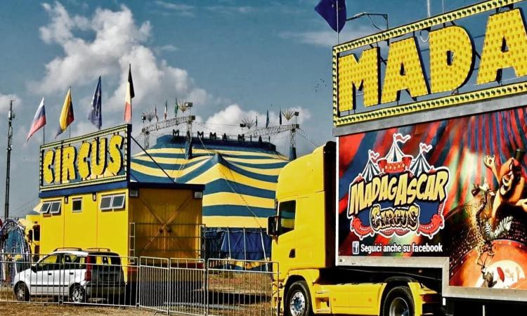 Macerata, "No al circo con gli animali": presidio di protesta al centro fiere di Villa Potenza Macerata, "No al circo con gli animali": presidio di protesta al centro fiere di Villa Potenza