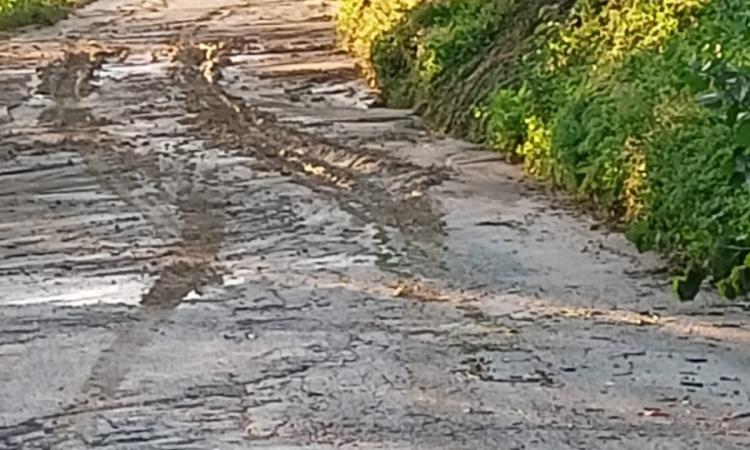 Maltempo Marche, rimangono chiuse alcune strade a causa di smottamenti: ecco quali