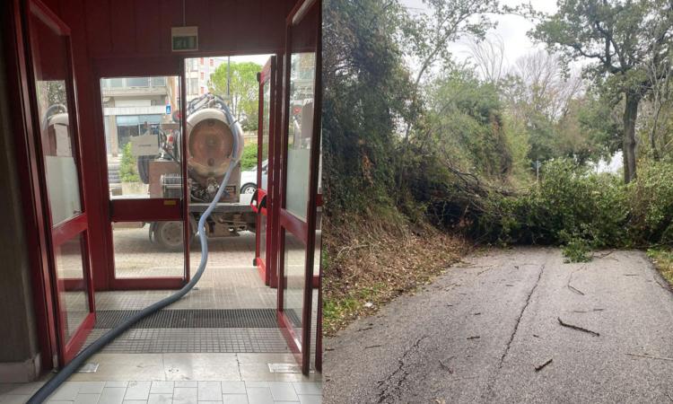 Maltempo, disagi a Tolentino per alberi e rami caduti: allagato il palazzetto dello sport