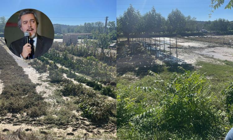 Alluvione Marche, il sottosegretario del Mipaaf Battistoni visita i territori colpiti Alluvione Marche, il sottosegretario del Mipaaf Battistoni visita i territori colpiti
