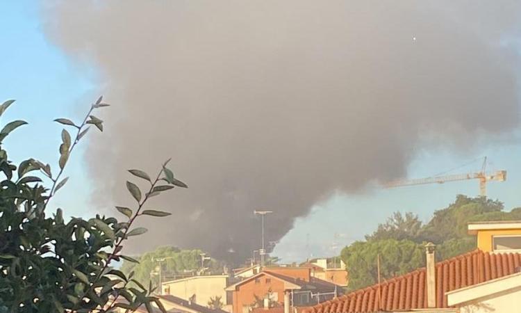 Civitanova, paura sulla A14: rimorchio di un autotreno in fiamme