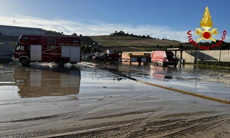 Alluvione Marche, altra notte di ricerche: oggi sopralluogo di Curcio nei luoghi più colpiti Alluvione Marche, altra notte di ricerche: oggi sopralluogo di Curcio nei luoghi più colpiti