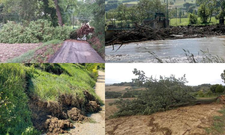 Treia, la conta dopo l'alluvione: danni su 16 tratti stradali, evacuata un'abitazione