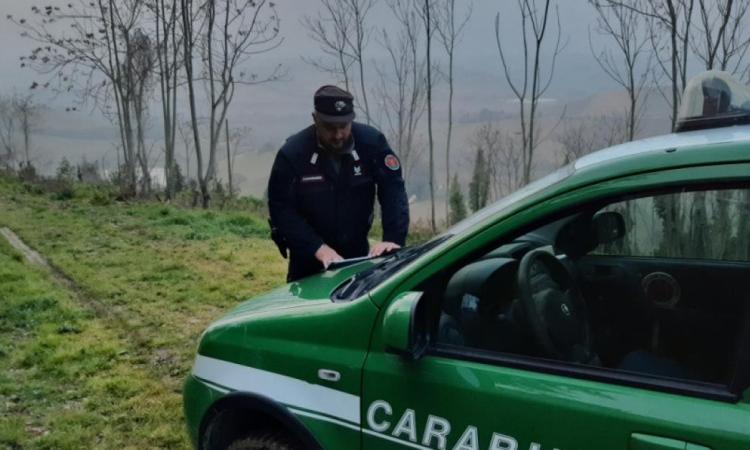 Alluvione Marche, mancata allerta meteo: i carabinieri acquisiscono i tabulati telefonici Alluvione Marche, mancata allerta meteo: i carabinieri acquisiscono i tabulati telefonici