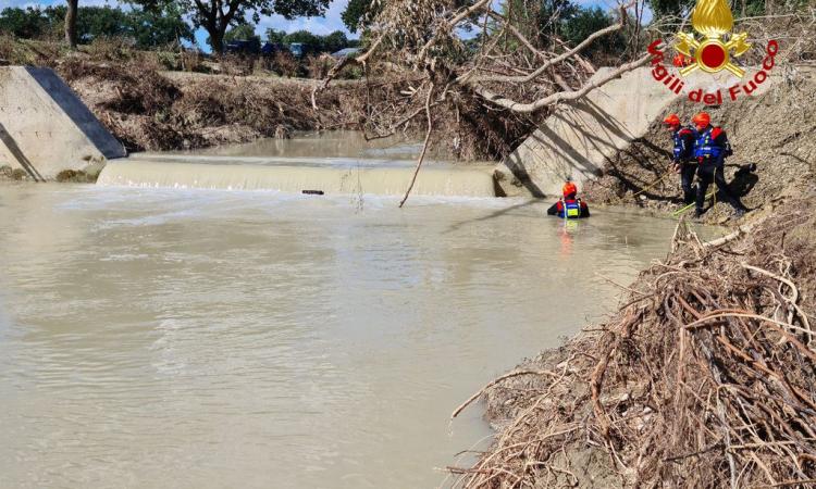 Alluvione Marche, ricerche su fiume e terra per Brunella Chiù