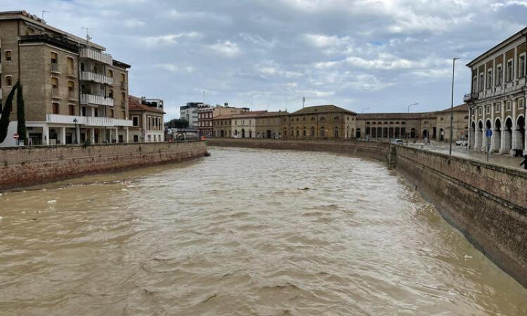 Maltempo, fiume Misa sotto osservazione. Si cerca ancora la donna rimasta dispersa nell’ultima piena