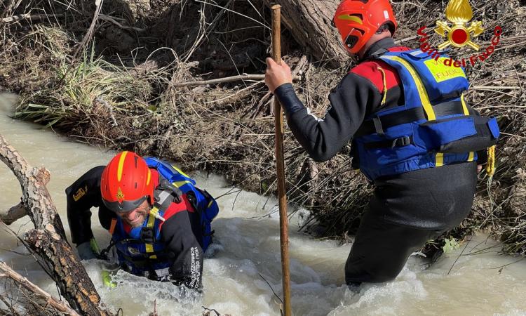 Alluvione Marche, ventesimo giorno di ricerche per Brunella Chiù: in azione unità cinofile e sub