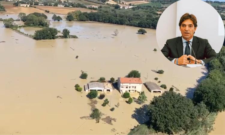 Alluvione, Acquaroli: "Per estensione e danni paragonabile a un nuovo sisma" Alluvione, Acquaroli: "Per estensione e danni paragonabile a un nuovo sisma"
