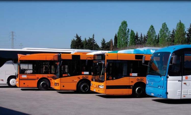Civitanova, nuova convenzione Atac per vigilanza sui bus scolastici e progetto illuminazione pubblica